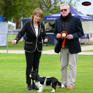 Pabianpark Black Magic (AI) - ACDC Championship Show 13/07/2025 - Best Puppy in Group - Judge: Geoff Kill (Qld)