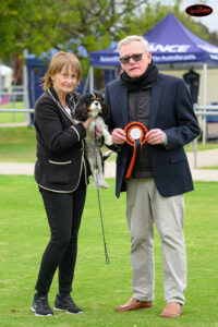 Pabianpark Black Magic (AI) - ACDC Championship Show 13/07/2025 - Best Puppy in Group - Judge: Geoff Kill (Qld)