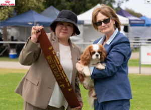 5/10/2025: Tia - AHKC Championship Show Best in Group 2nd Ms Ja-Wook Min (Korea)