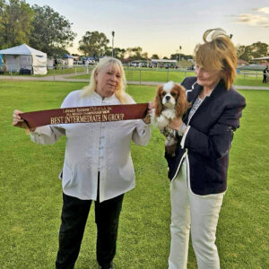 "Tia" Cabrook Tequila Sunrise - Intermediate in Group - Judge: Audrey Vandersteen
